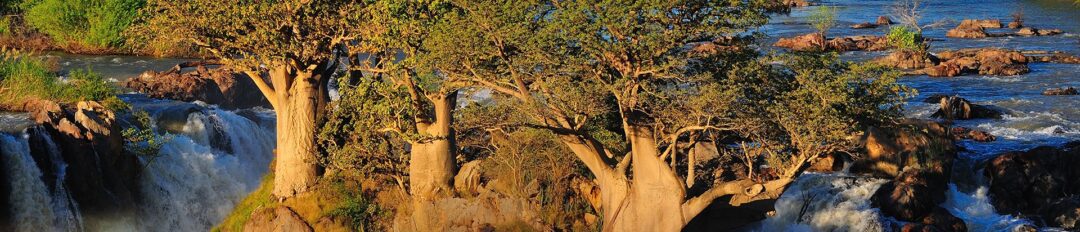 Diverse Namibia