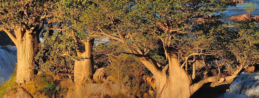 Diverse Namibia