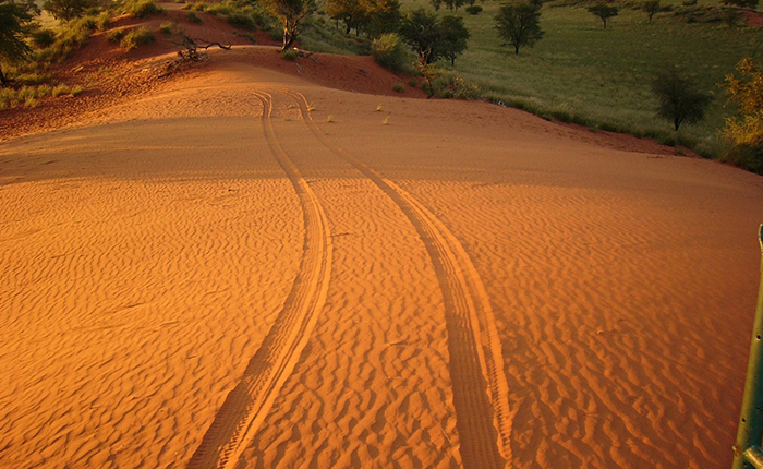 Namibia Discovery Tour