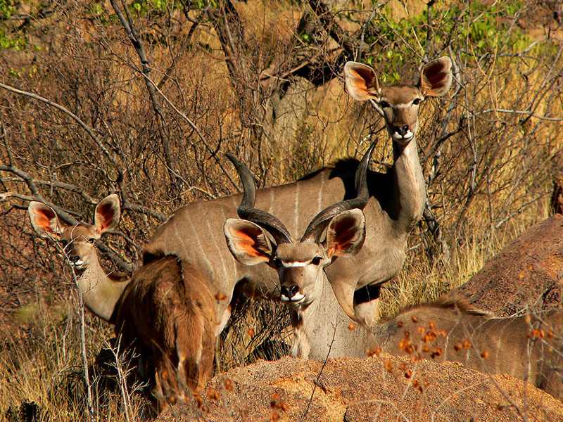Slow travel in Namibia