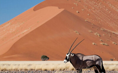 Top 5 Best Places to Visit Namibia
