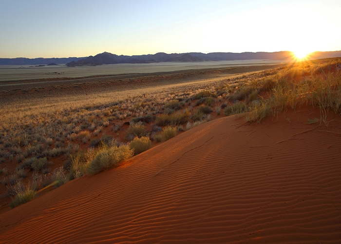 Self-drive Sossusvlei