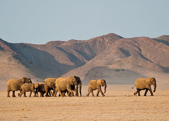 Highlights Namibia